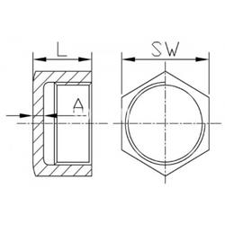 Tapón Hembra Inox 316 ISO 4144 - Imagen 2