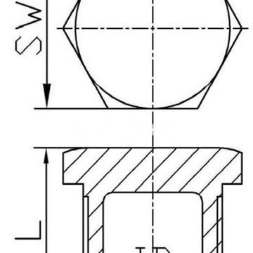Tapón Macho Inox 316 ISO 4144 - Imagen 2