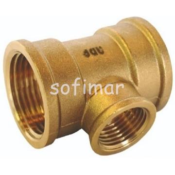 Tes Hembra Reducida Roscar Roscar - Imagen 1