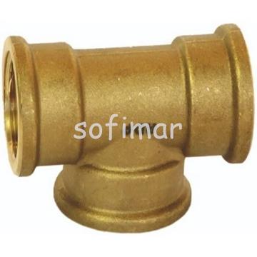 Tes Hembra Roscar Roscar - Imagen 1